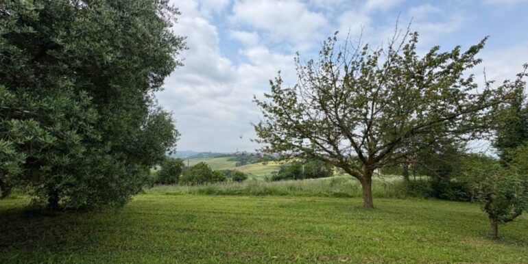 CREATOR: gd-jpeg v1.0 (using IJG JPEG v62), quality = 82